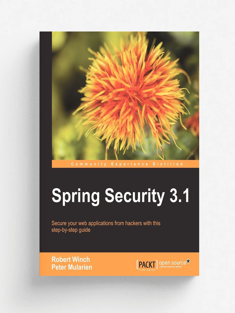 Spring Security 3.1 #1