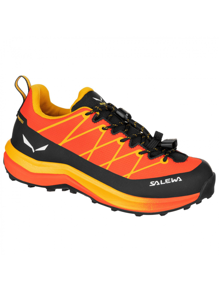Ботинки Salewa #1