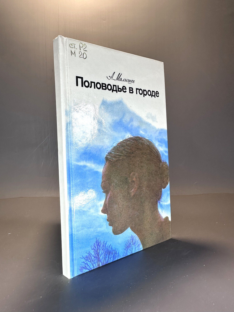 Половодье в городе | Малышев А. #1