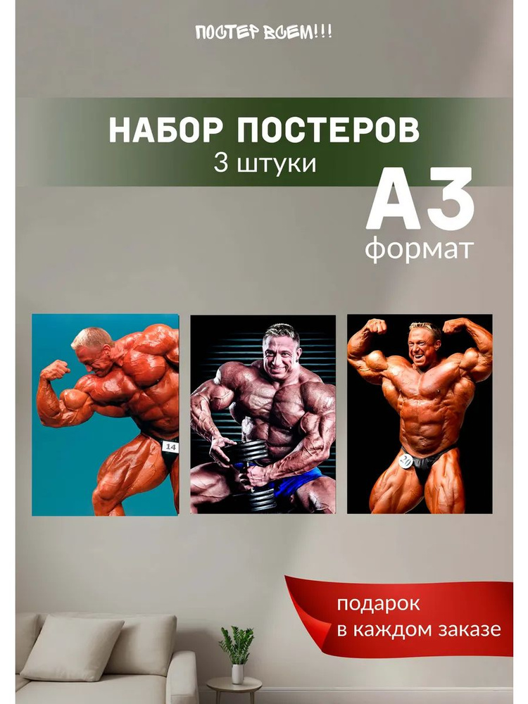 Постер всем Постер "Маркус Рюль" #1