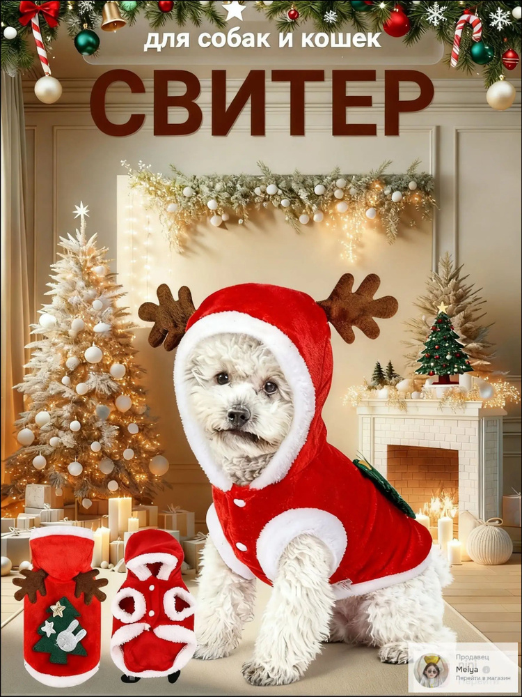 Одежда для животных #1