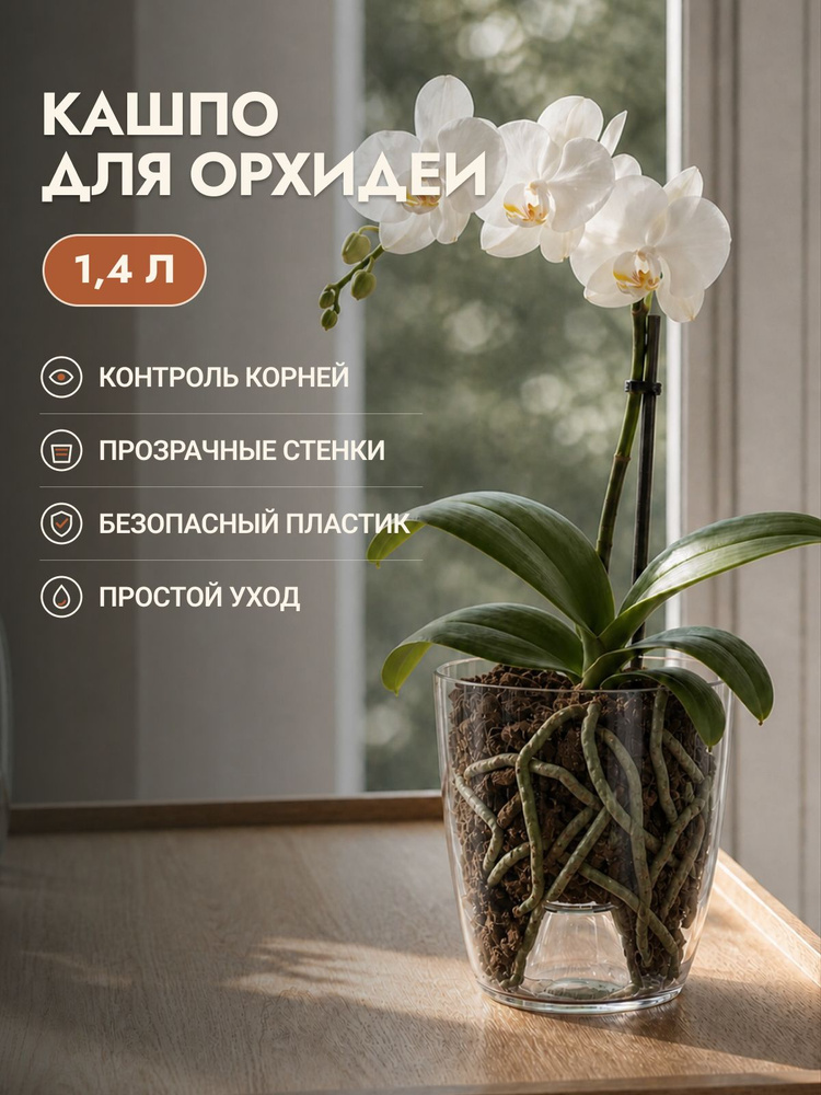 Горшок для орхидеи прозрачный Альтернатива 1.4 л, пластиковое кашпо для комнатных растений #1