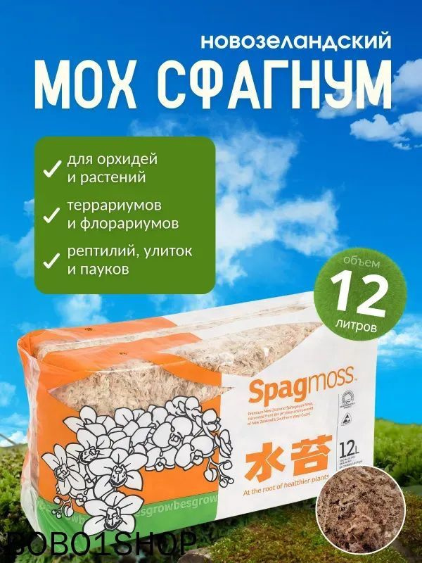 Мох #1