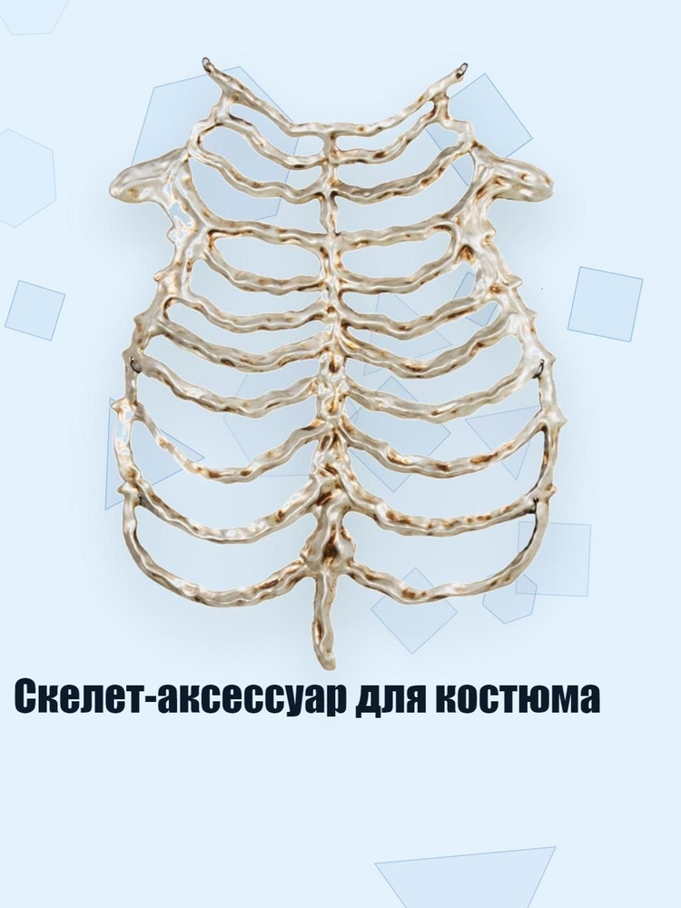БДСМ одежда #1