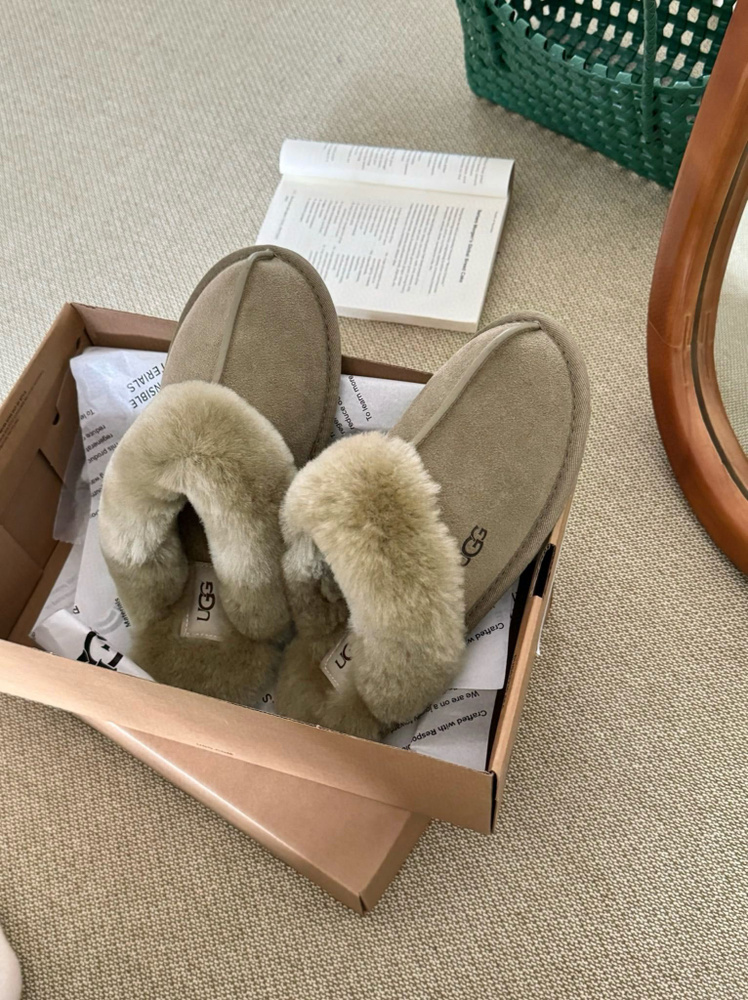 Тапочки UGG #1