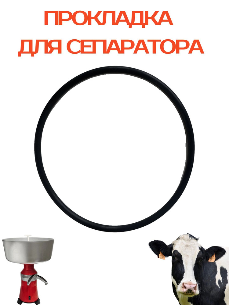 Прокладка (уплотнительное кольцо) для сепараторов #1
