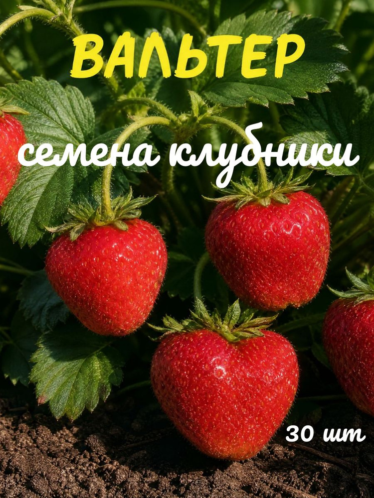 Семена #1