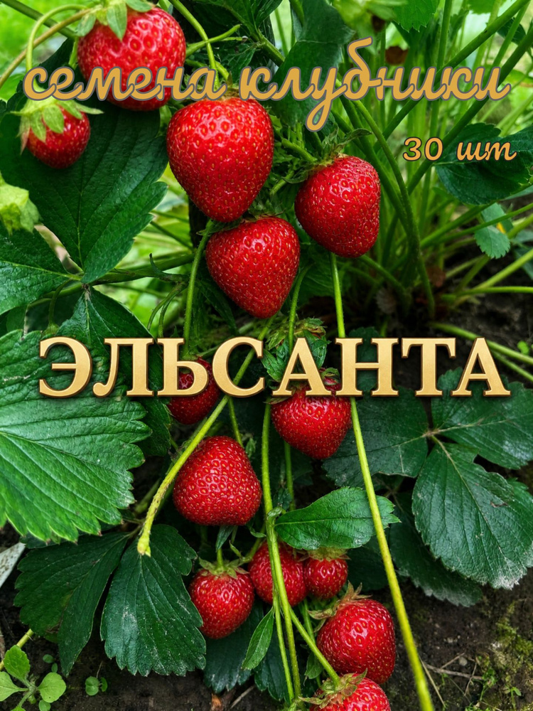 Семена #1