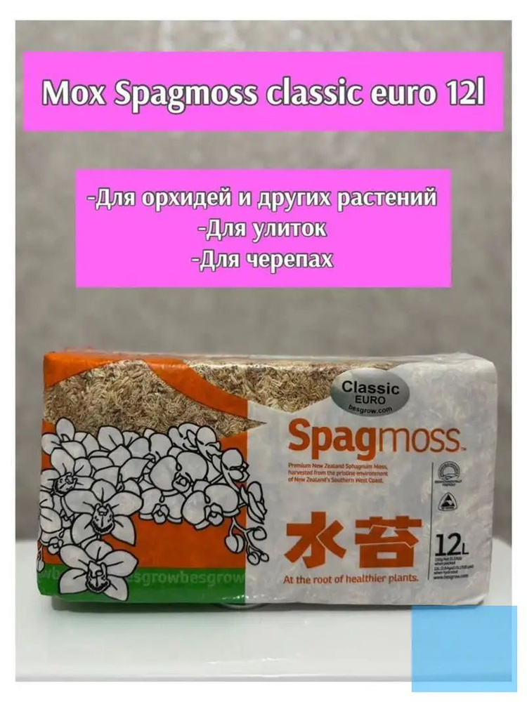 Мох #1