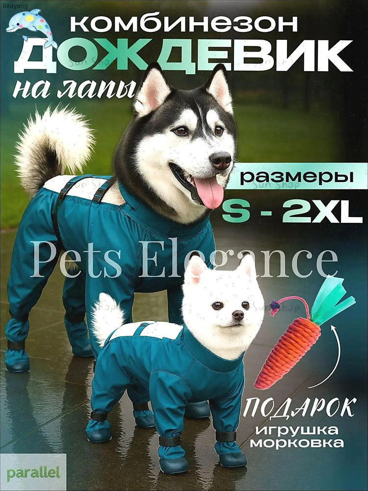 Обувь для собак #1