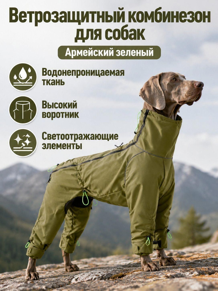 Одежда для собак #1