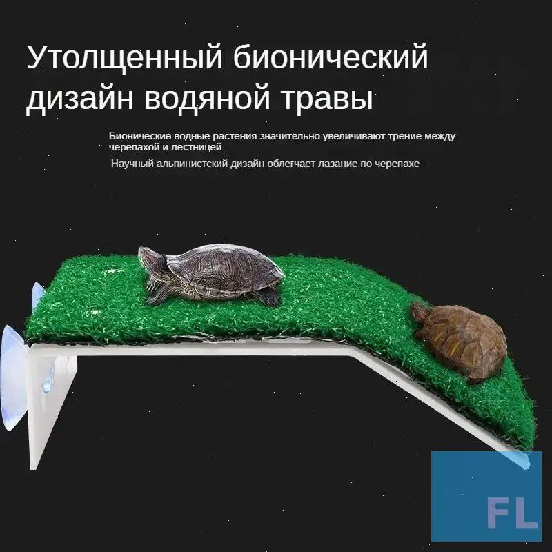 Полка #1