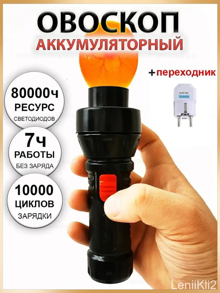 Овоскоп #1