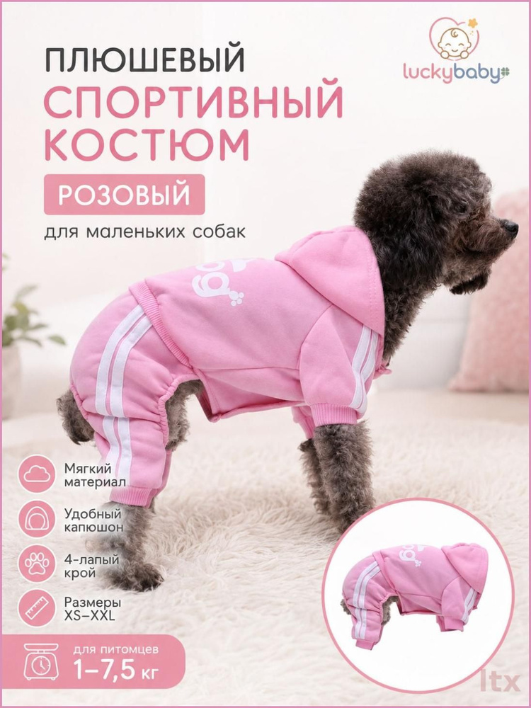 Одежда для животных #1