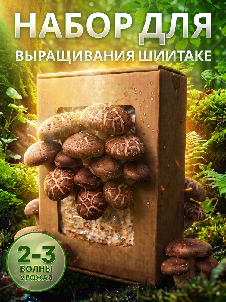 Набор для выращивания грибов / Домашняя грибница Шиитаке для дома, балкона, семена #1