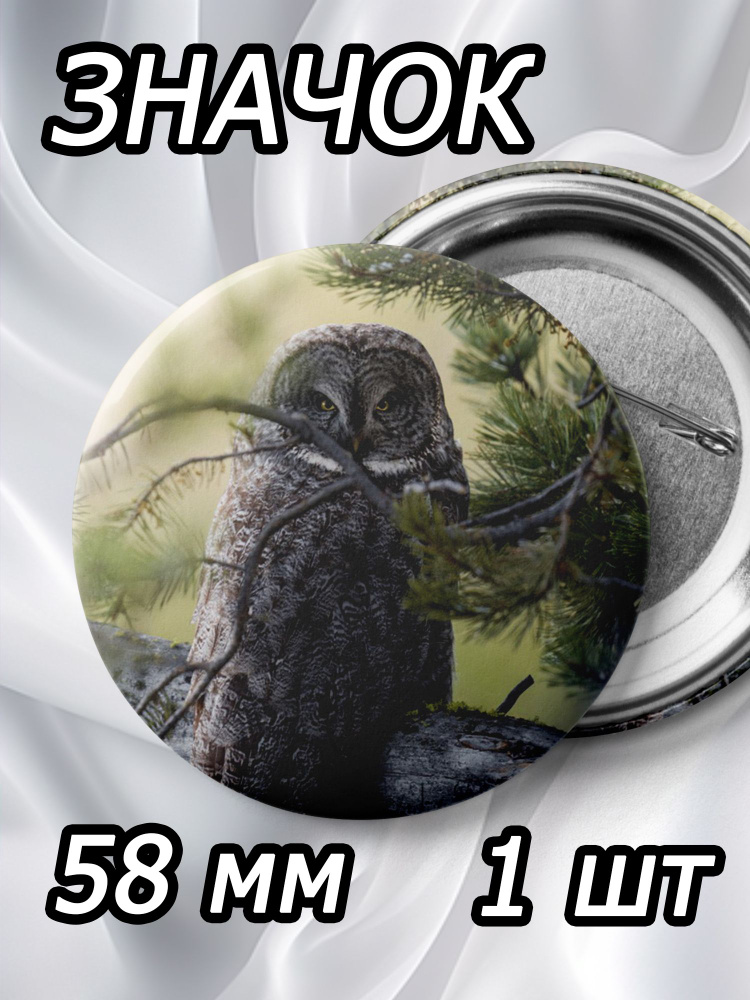 Значок сова #1