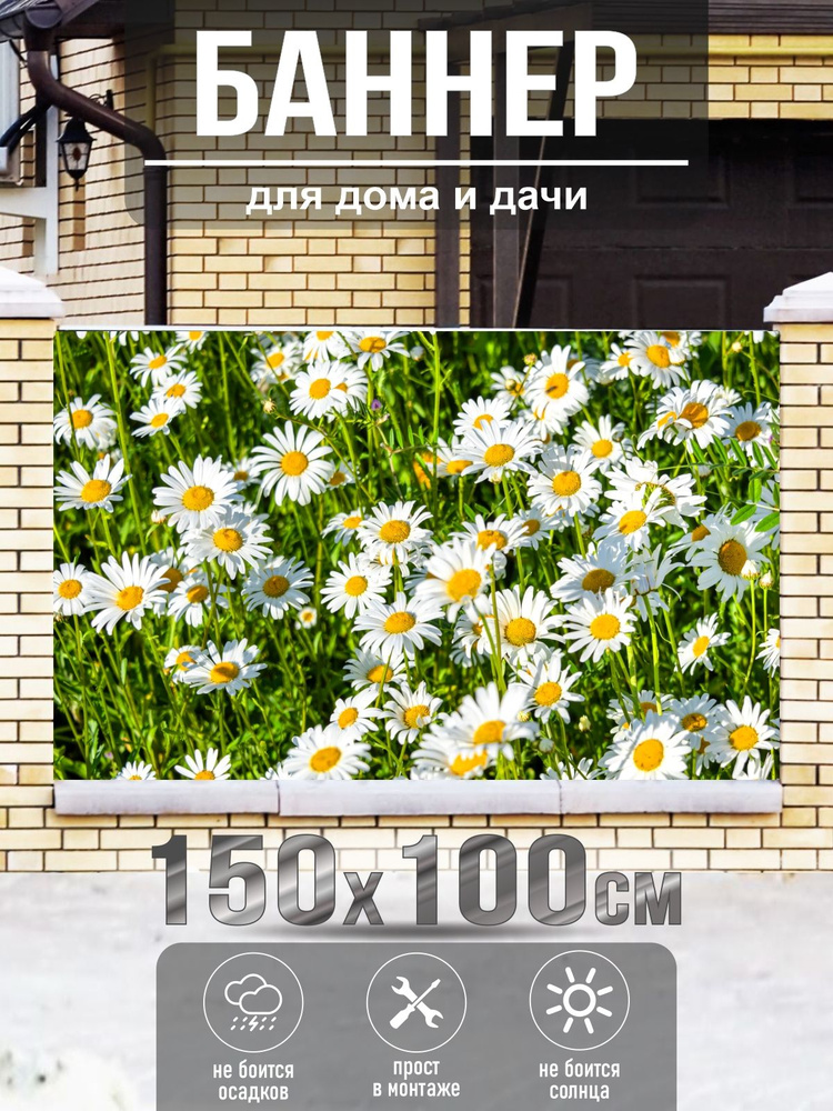 Баннер на забор загородного дома "Поле Ромашки", 150 х 100 см #1