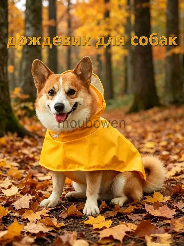 дождевик для собак #1