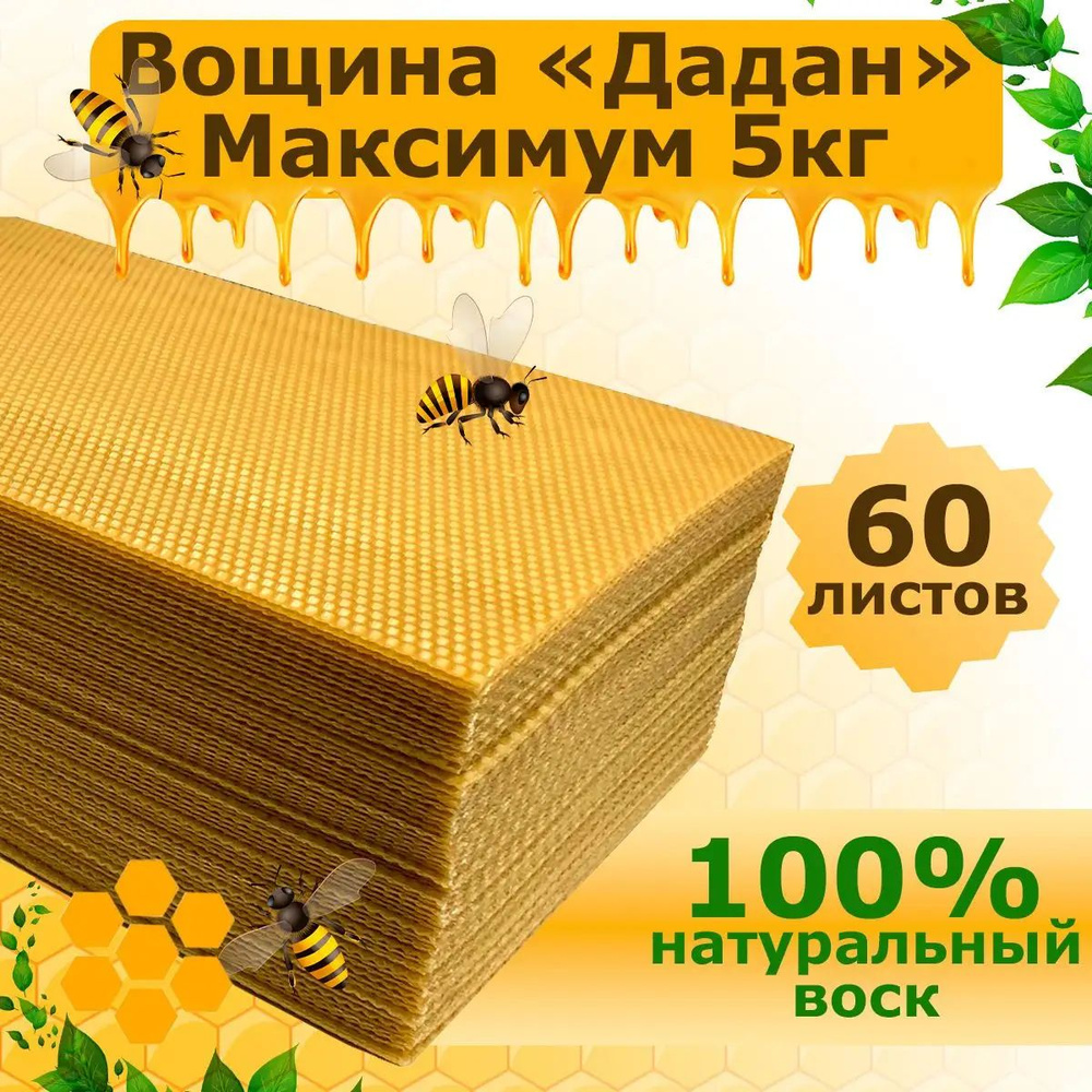 Вощина #1