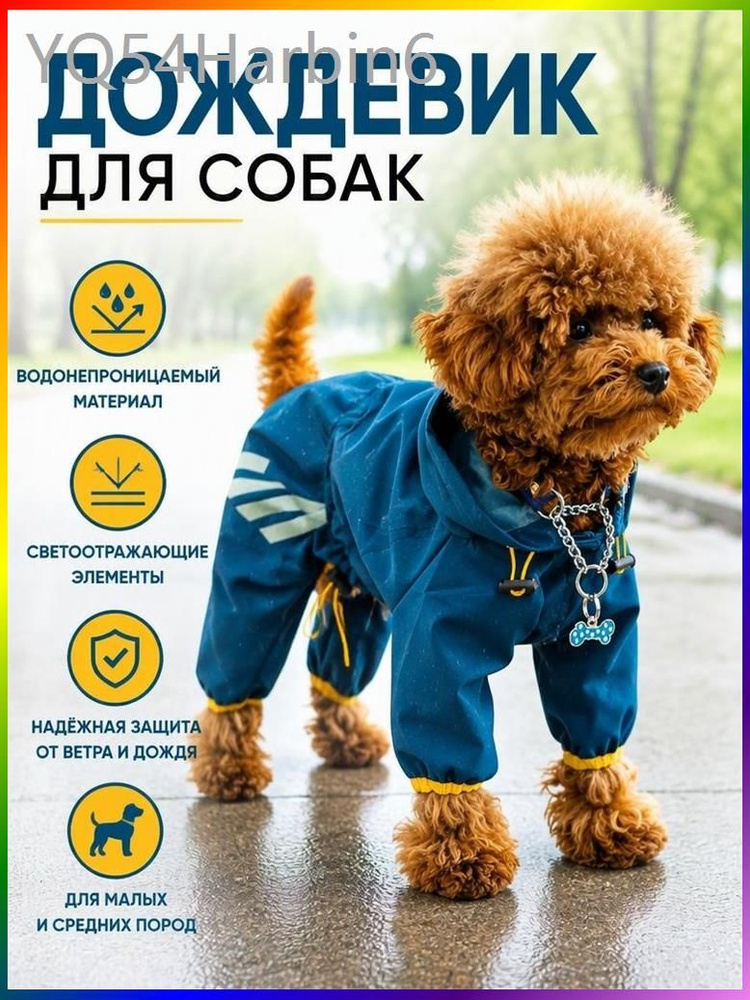 Одежда для собак дождевик #1