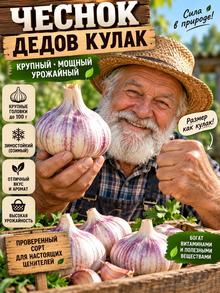 Луковицы #1