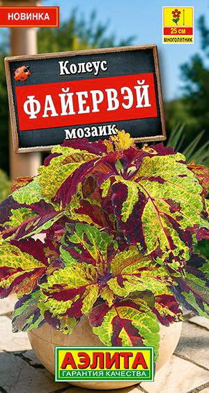 Семена Колеус Файервэй Мозаик F1 (5 семян) - Аэлита. Карликовый комнатный цветок #1