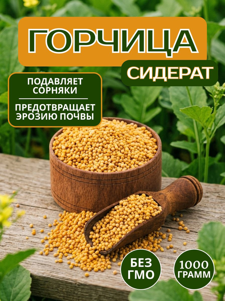 Горчица Сидерат #1