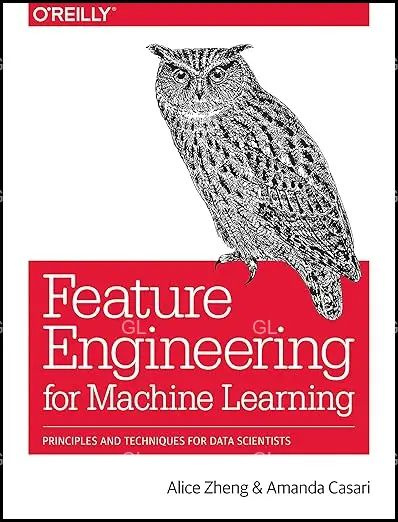 Feature Engineering for Machine Learning: Principles and Techniques for Data Scientists #1