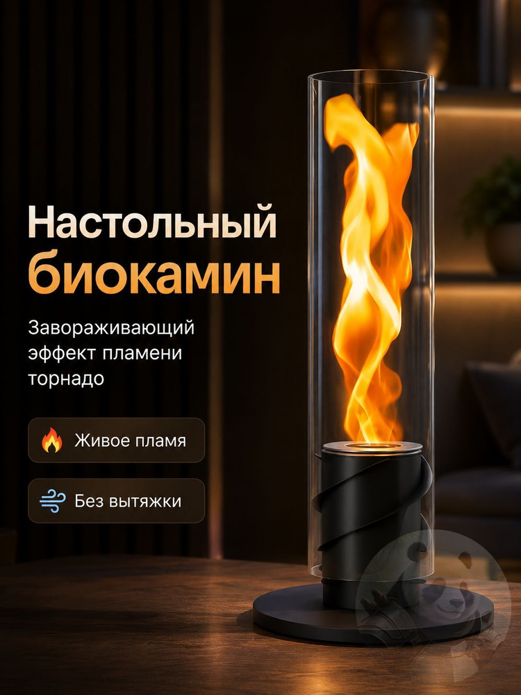 Биокамин Настольная установка #1