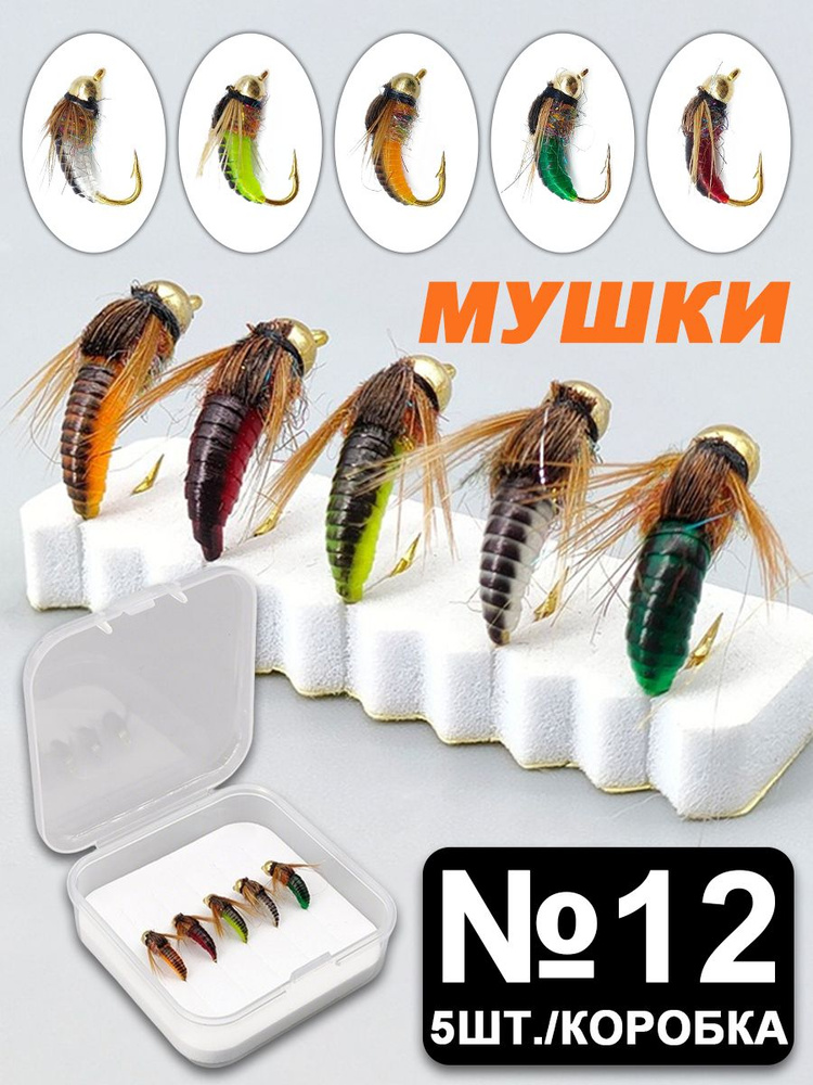 Поппер #1