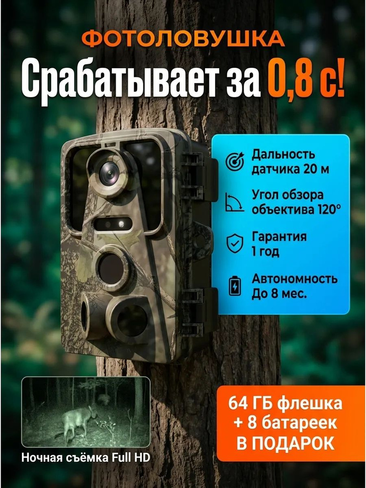 Фотоловушка #1