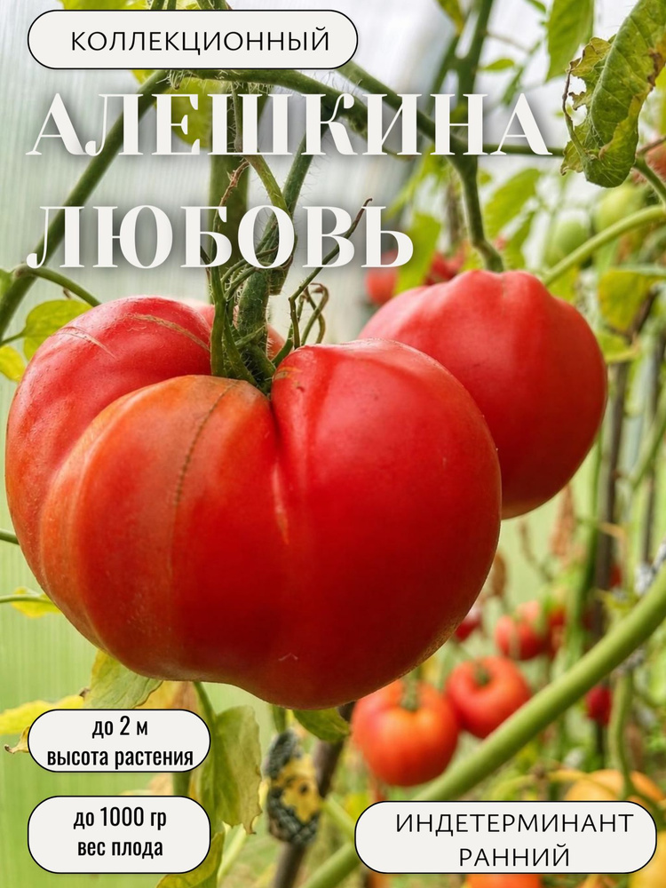 Семена #1