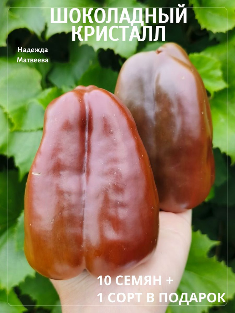 Семена #1