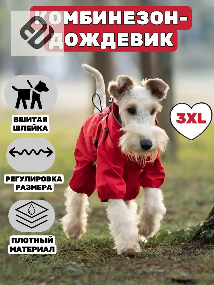 Дождевик для собак #1