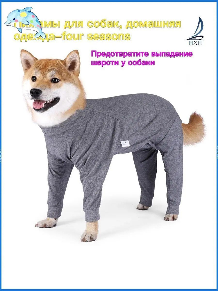Одежда для животных #1