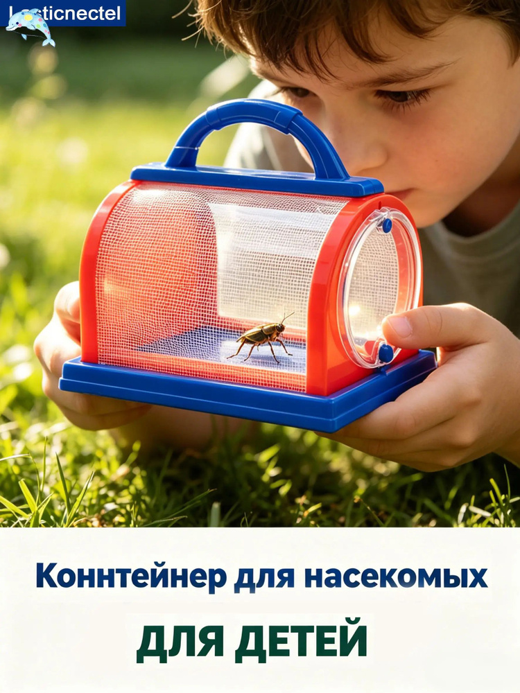 Ферма бабочек #1