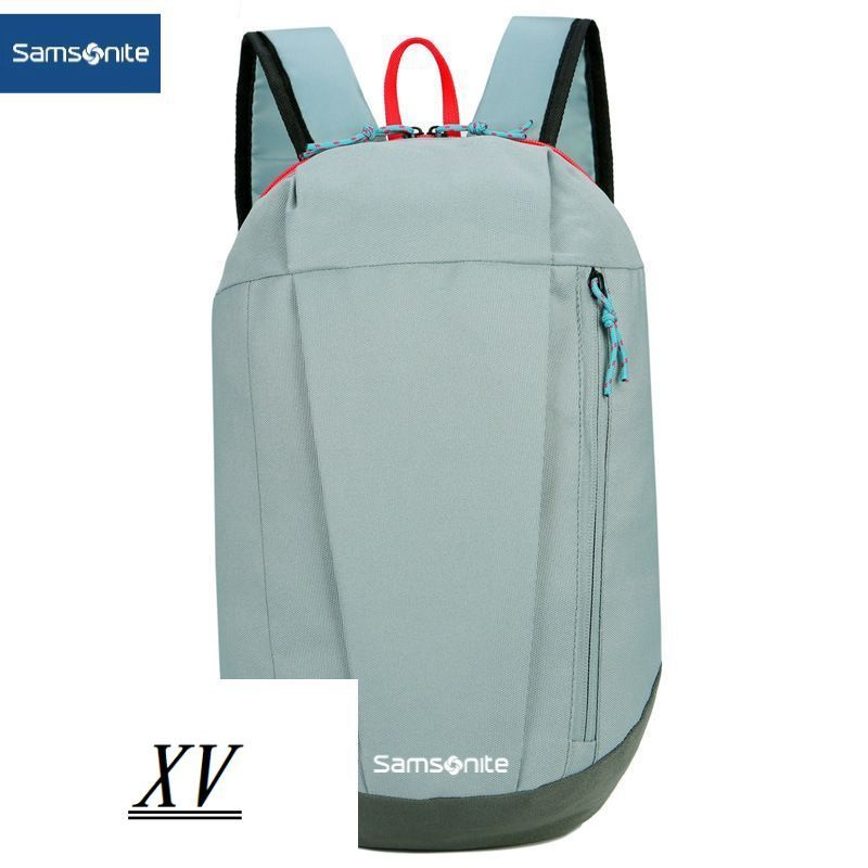 Samsonite Рюкзак #1
