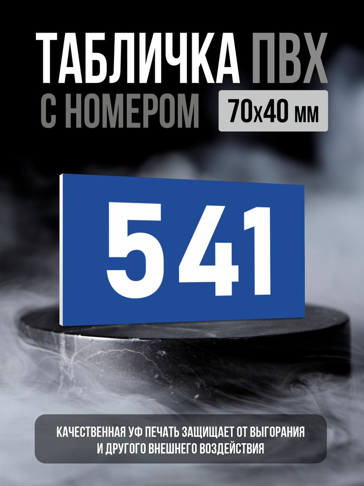 Табличка с номером 541, 7х4 см, ПолиЦентр #1