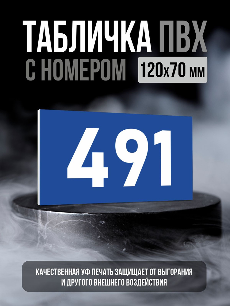 Табличка с номером 491, 12х7 см, ПолиЦентр #1