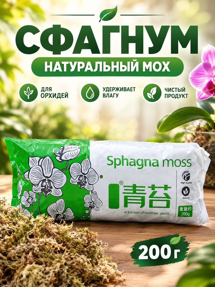 Мох #1