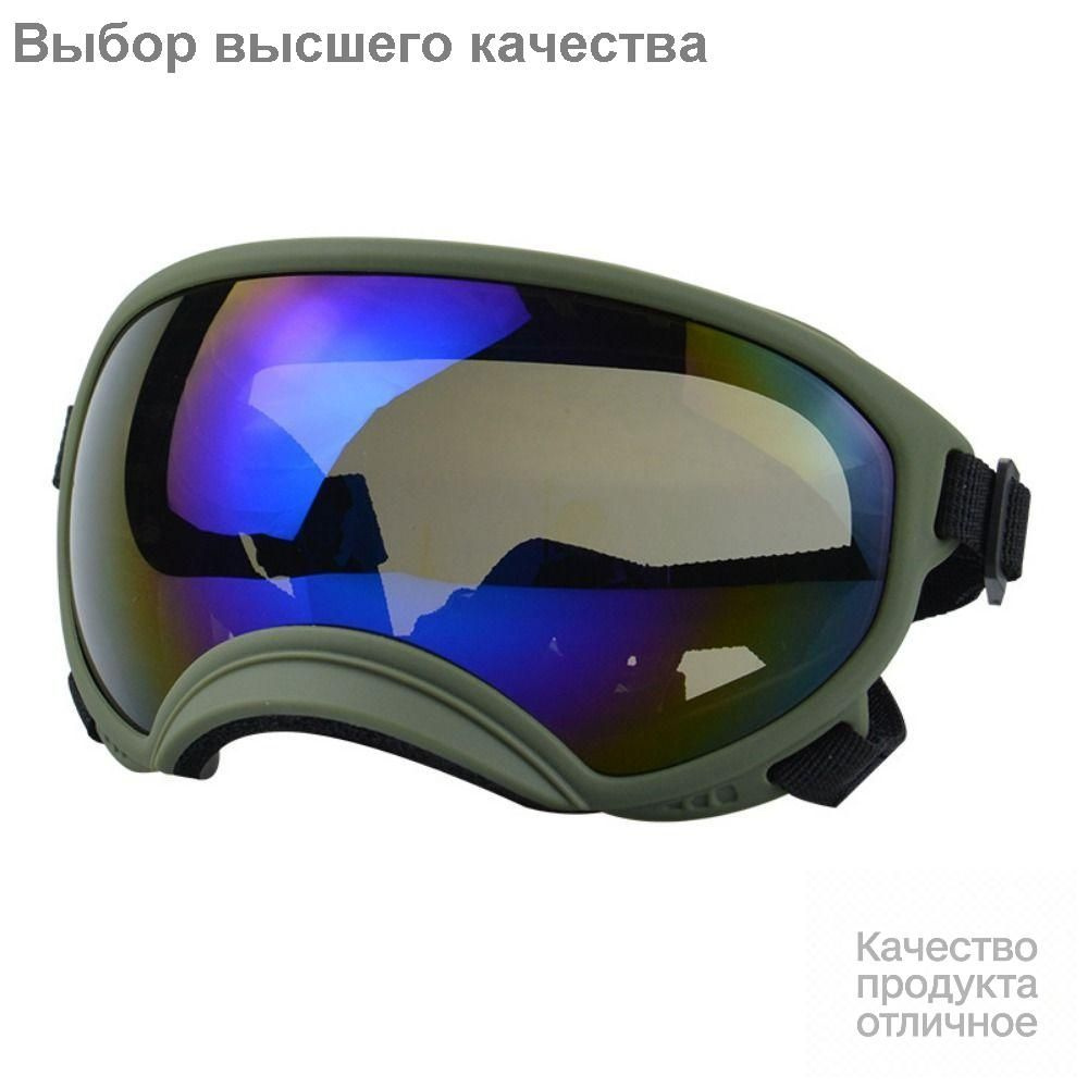 Собака Очки #1