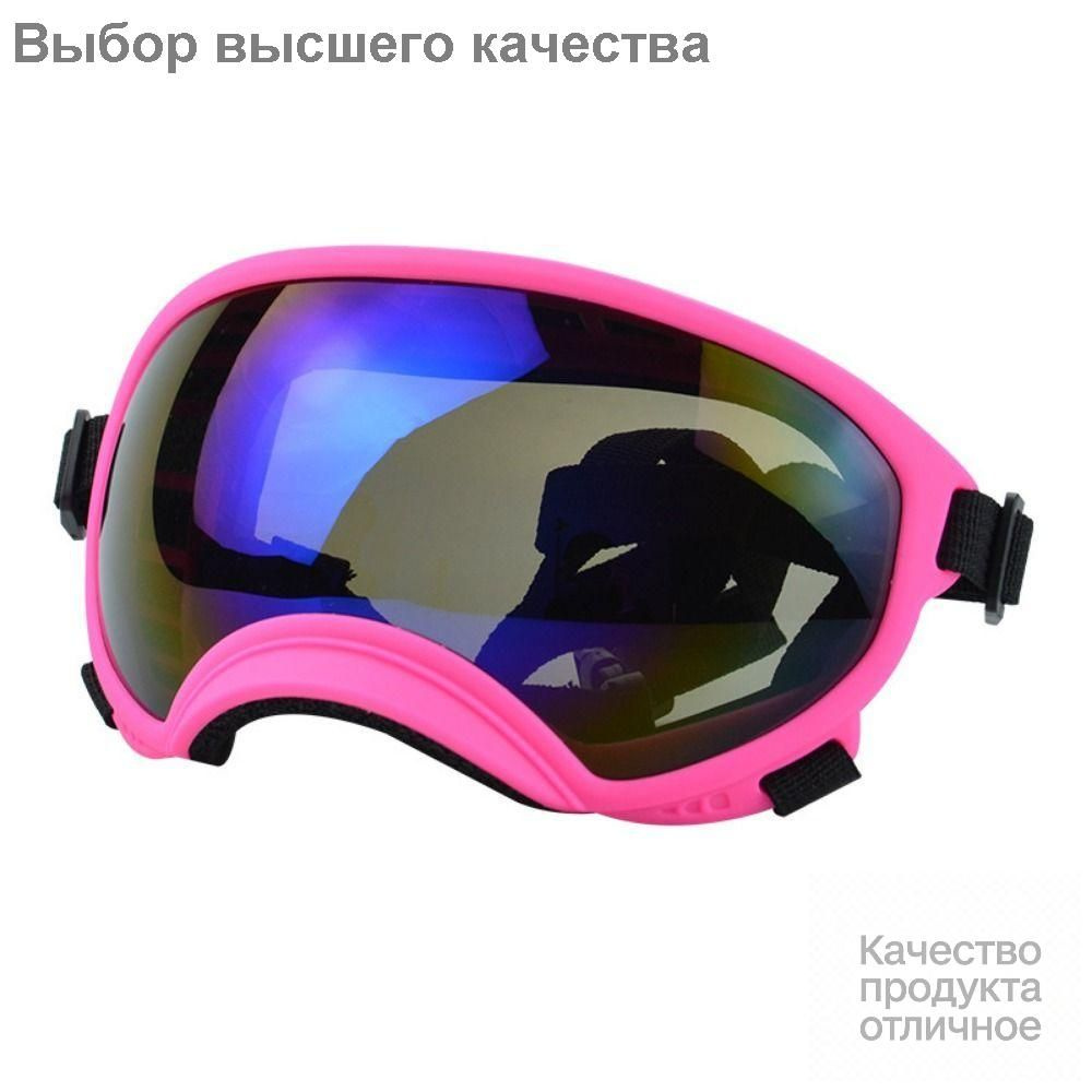 Собака Очки #1