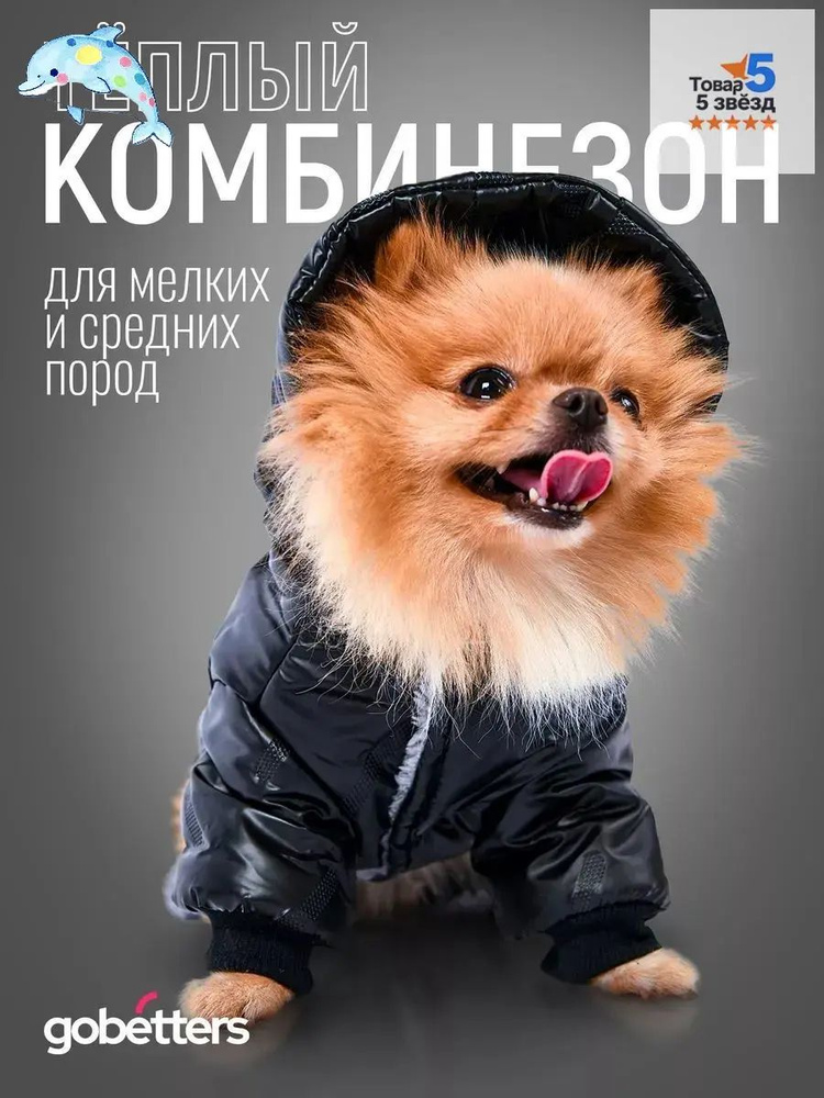 Одежда для животных #1