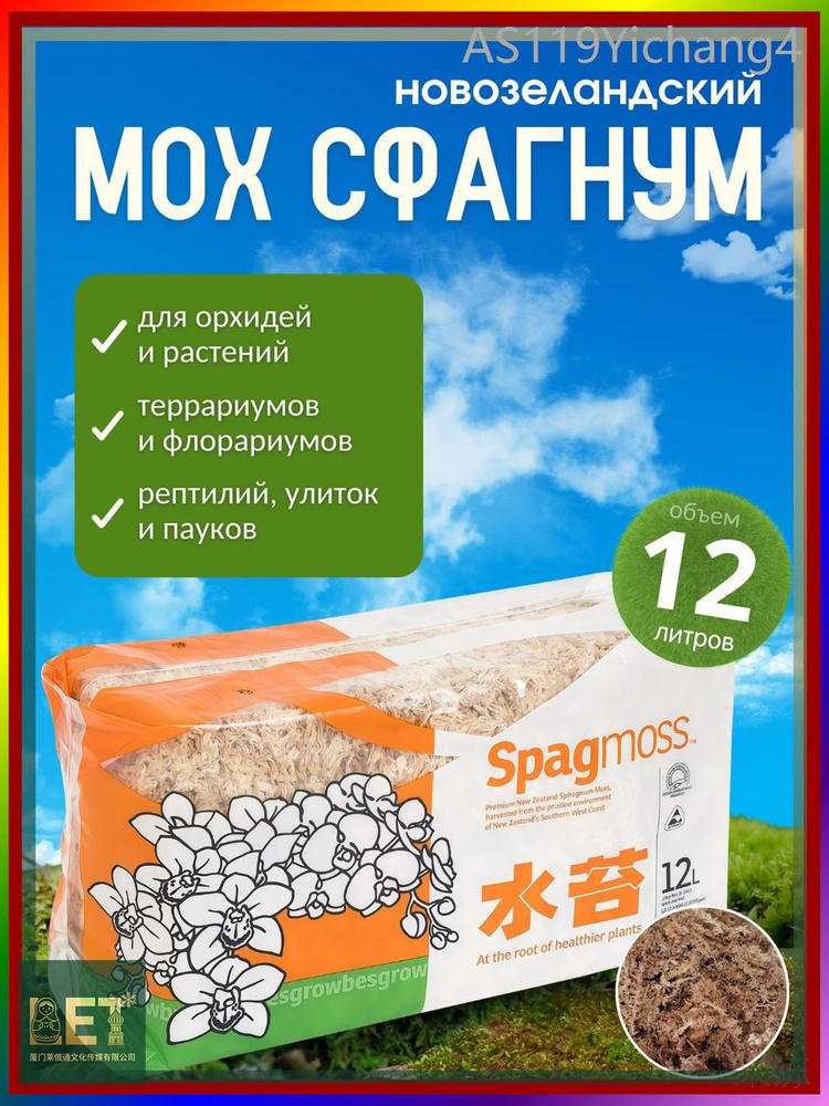 Мох #1