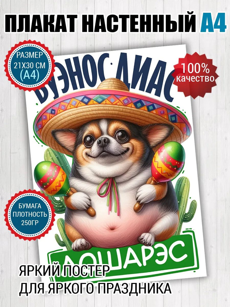 Постер A4 для лошары #1