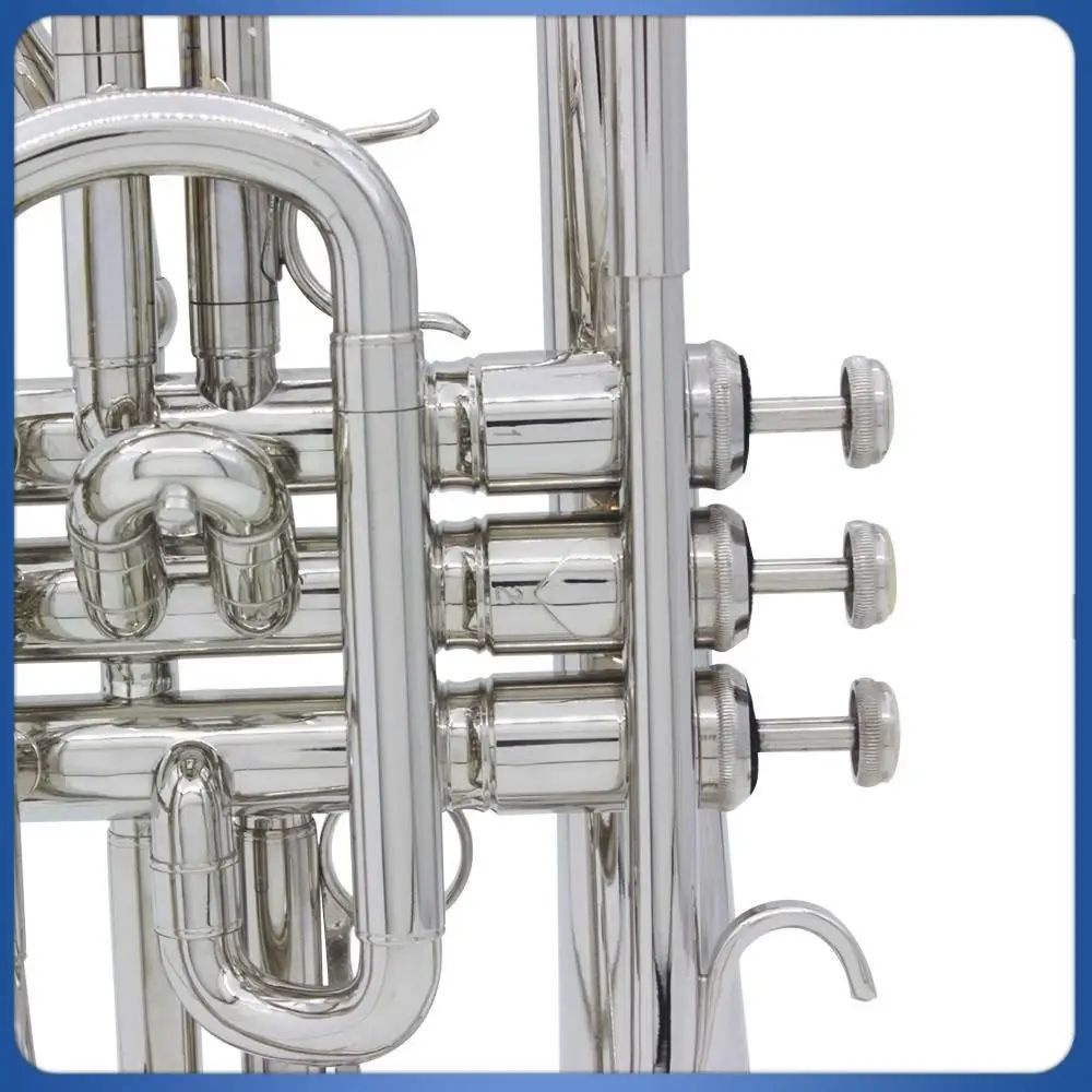 Корнет #1