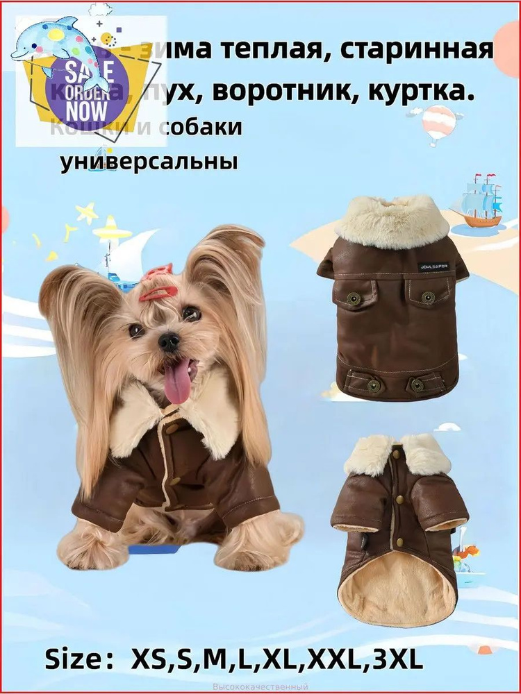 Одежда для животных #1