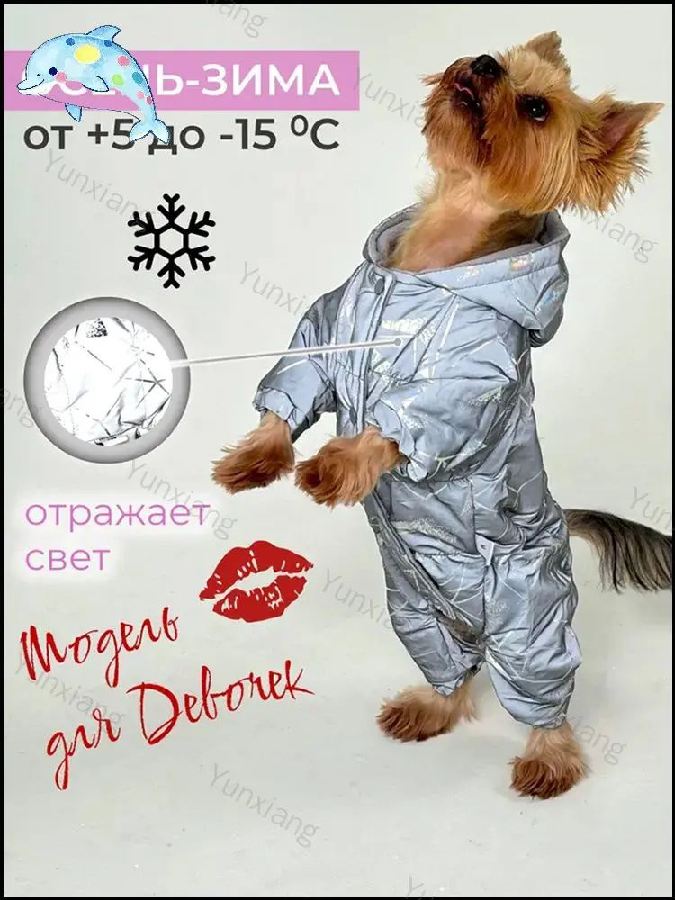 Одежда для животных #1