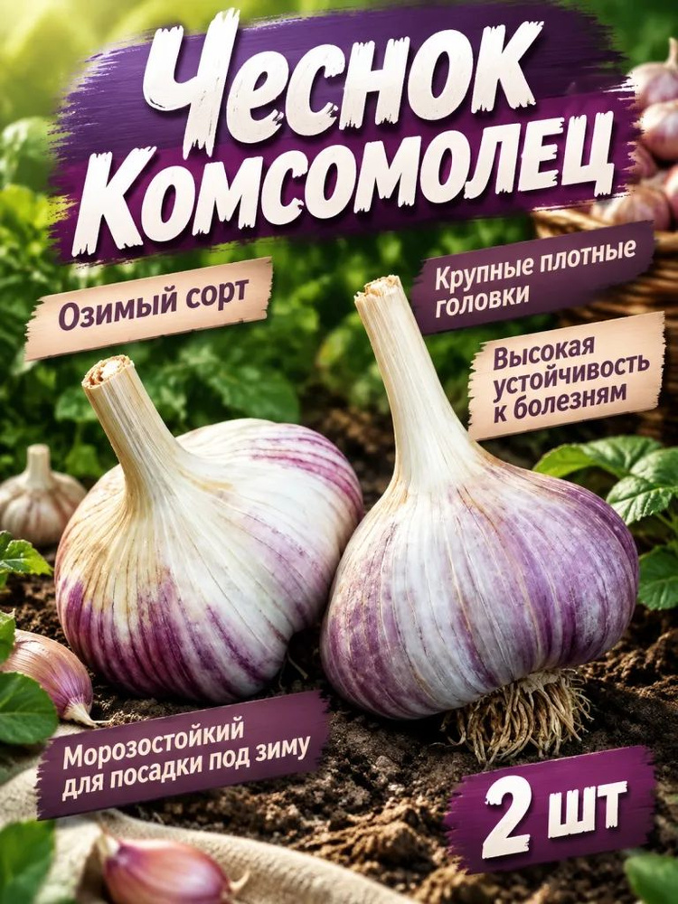 Семена ,2шт #1