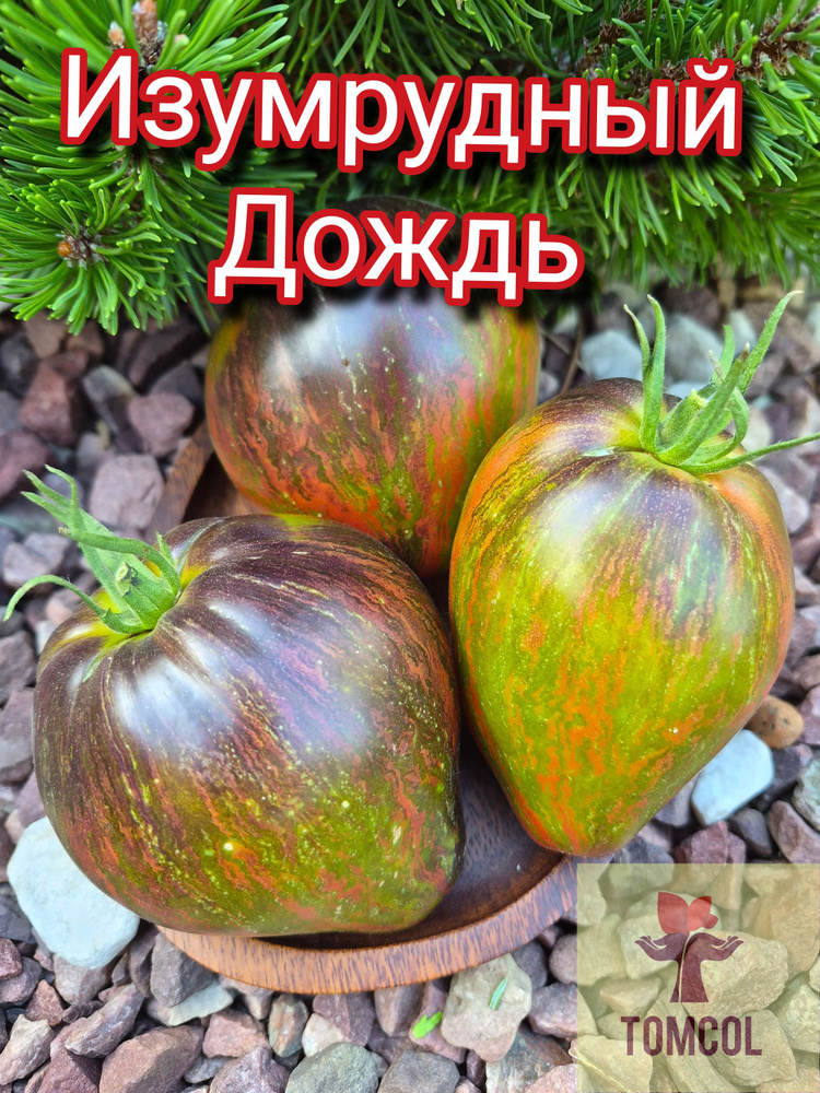 Семена #1